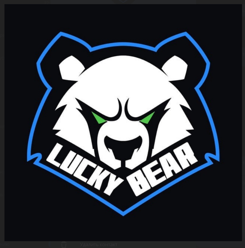 Lucky Bear Casino